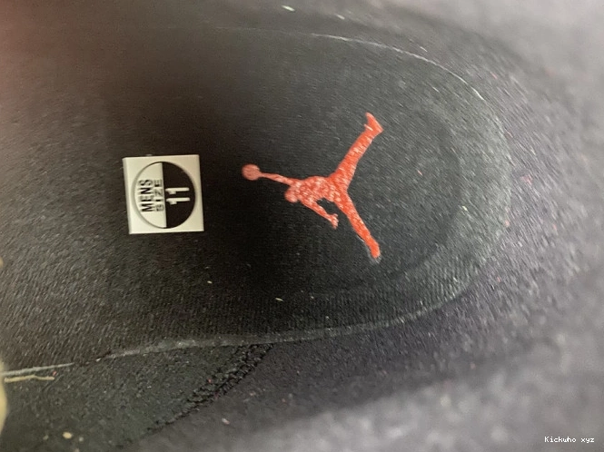 602 AIR 13 REVERSE JORDAN BRED